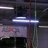 Woman Told Noose Hanging At ASPCA Was For "Operational Purposes"